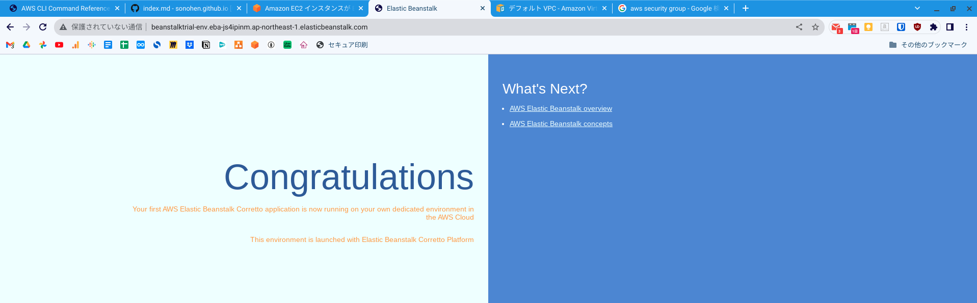 Bootstrap screen of Elastic Beanstalk